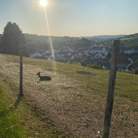 Eifel Apartman