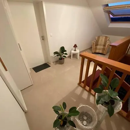 شقة Ferienwohnung Eifel ستادتكيل